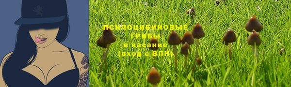 марки nbome Беломорск