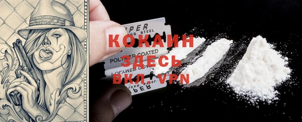 ПСИЛОЦИБИНОВЫЕ ГРИБЫ Белокуриха