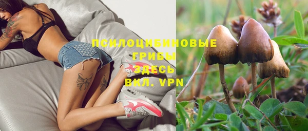 ПСИЛОЦИБИНОВЫЕ ГРИБЫ Белокуриха
